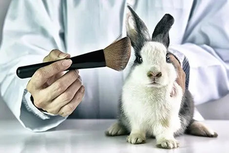 Most People Don’t Realise Animal Testing in Cosmetics Is Often Optional