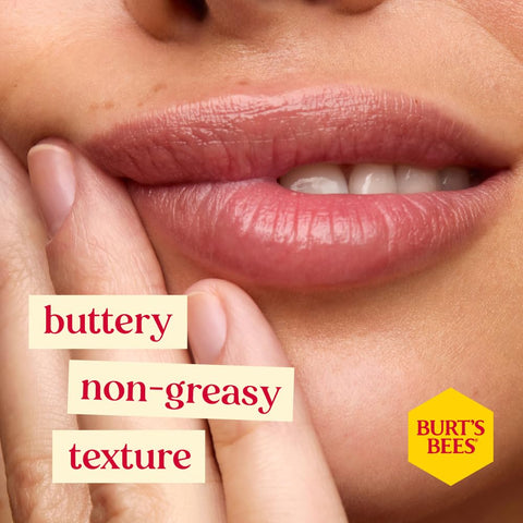 Burt's Bees Moisturising Lip Balm, Salted Caramel Flavour, With Beeswax and Vitamin E, Limited Edition Christmas Flavour, 4.25g