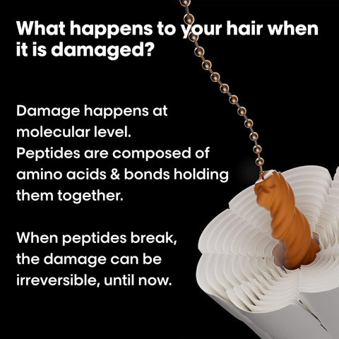 L’Oréal Professionnel Absolut Repair Molecular Sulphate Free Shampoo, For Extremely Damaged Hair, Molecular Peptides Bond Repair, Restore Strength & Elasticity