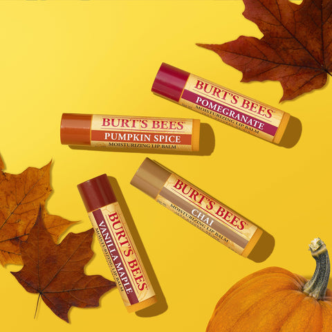 Burt's Bees Moisturising Lip Balm, Salted Caramel Flavour, With Beeswax and Vitamin E, Limited Edition Christmas Flavour, 4.25g